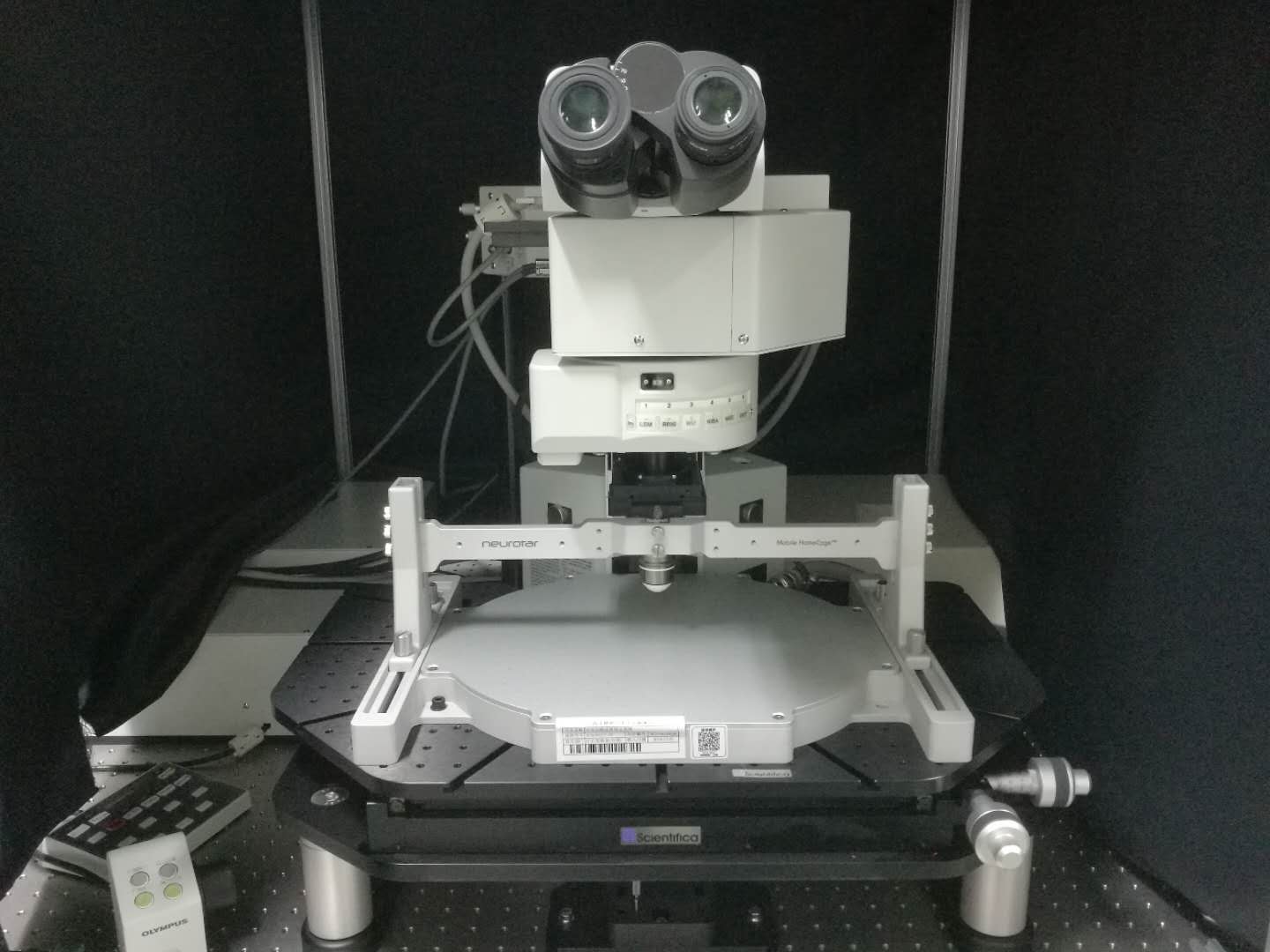 双光子激光共聚焦显微镜